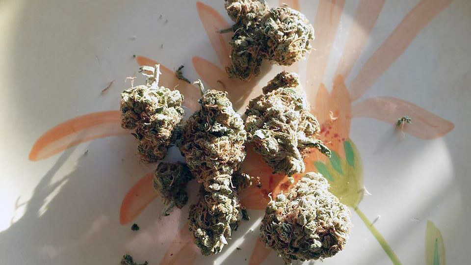 Up near the northeast corner of the Olympic Peninsula lies Port Hadlock,