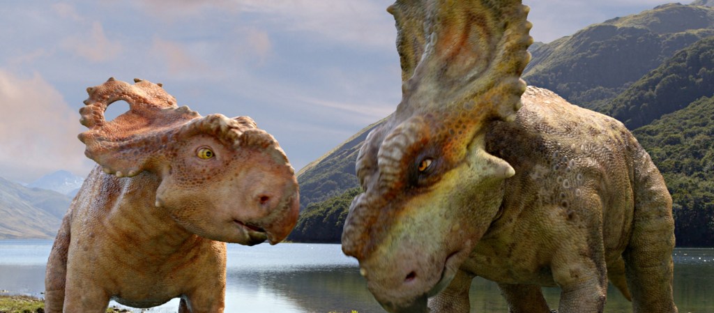 Patchi, left, with his older brother Scowler.