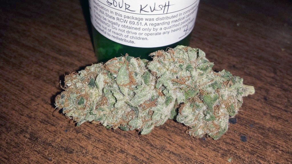 The Healthy Element is a hidden gem in the unassuming Olympia suburb