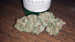 The Healthy Element is a hidden gem in the unassuming Olympia suburb