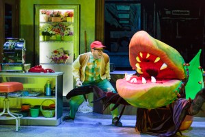Seymour (Carter) versus the man-eating Audrey II.Tracy Martin
