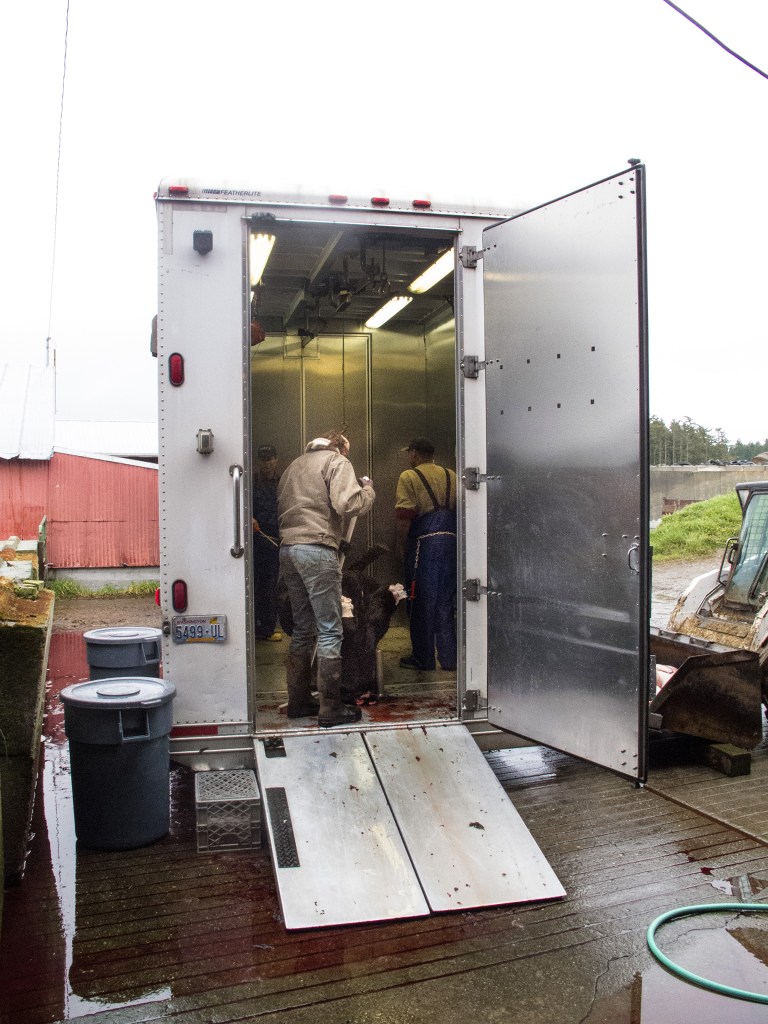Standing on a dirt path, alongside a neat stack of irrigation pipes,