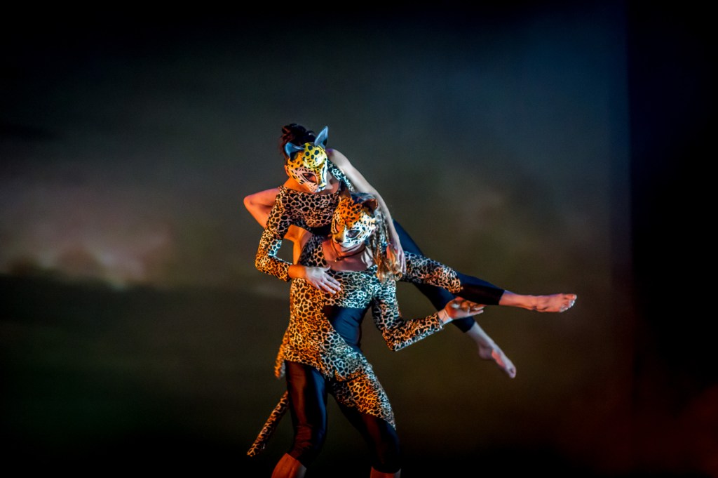 Cabiri members in leopard mode.