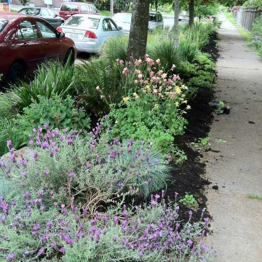 Above: A before and after of the Pollinator Pathway running along Columbia
