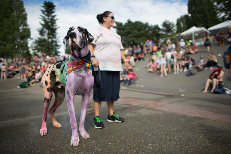 All photos by Jeremy Dwyer-LindgrenThe colors came out on Sunday as the