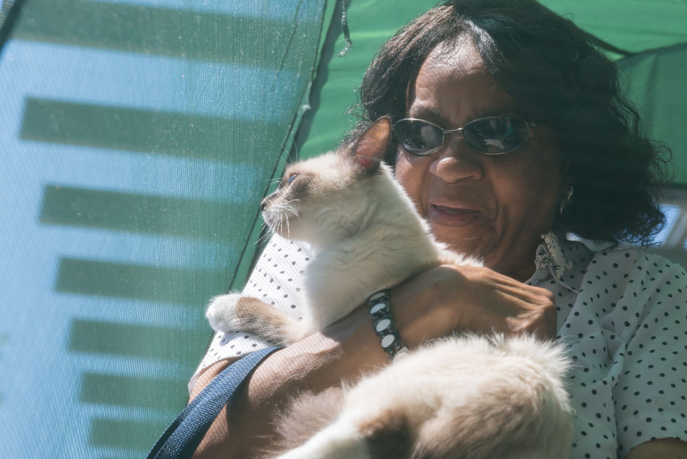 Ed Murray knows what sells - and what sells is cuteness, particularly