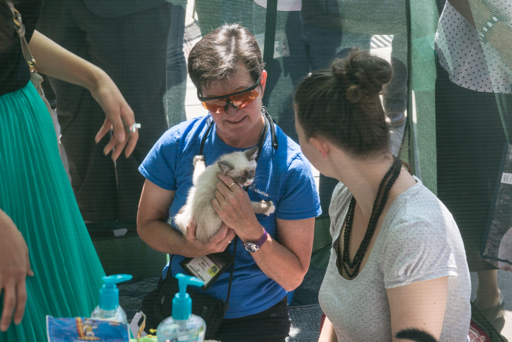 Ed Murray knows what sells - and what sells is cuteness, particularly