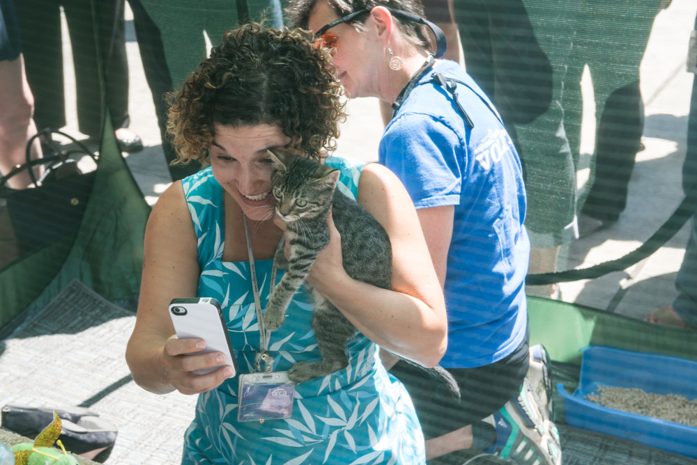 Ed Murray knows what sells - and what sells is cuteness, particularly