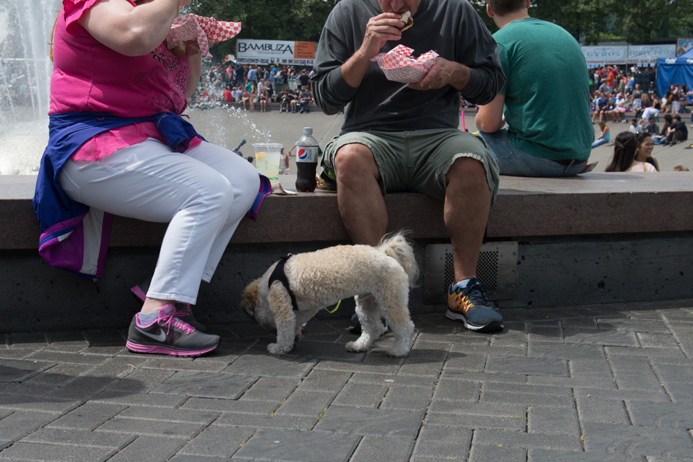 Even dogs got in on the munching, this little guy took the scraps his owners dropped as their appetites were satisfied.