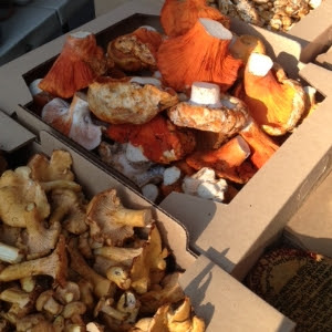 Conde Nast Traveler rounded up the Top Farmers Markets in the U.S.