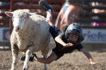 A child dives off his sheep.