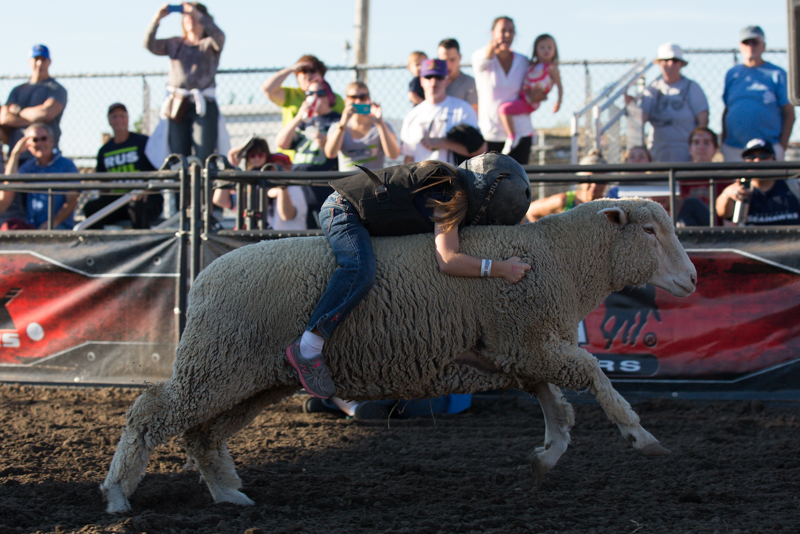 Karli, 5, races past as the crowd looks on. Karli went on to place third in her round.