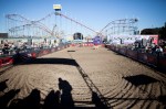 A lone sheep stands out in the arena before a show begins on Friday at the Washington State Fair in Puyallup, WA.