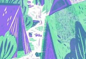 Illustration by Pam Wishbow