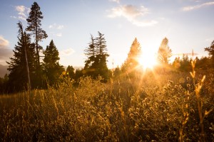 Roslyn Ridge, pictured here, is part of the historically huge new conservation land. Image via The Nature Conservancy.