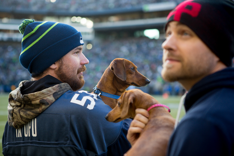 Participants in the halftime weiner dog races wait their turn on the field.