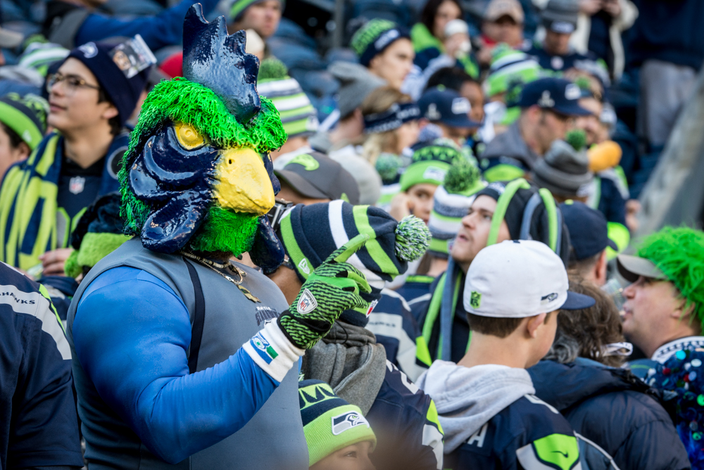 A seahawks rooster? Why not!