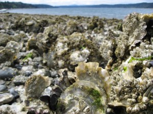 Your Daily Dose of Food News, Events and Must-Read Miscellany For those