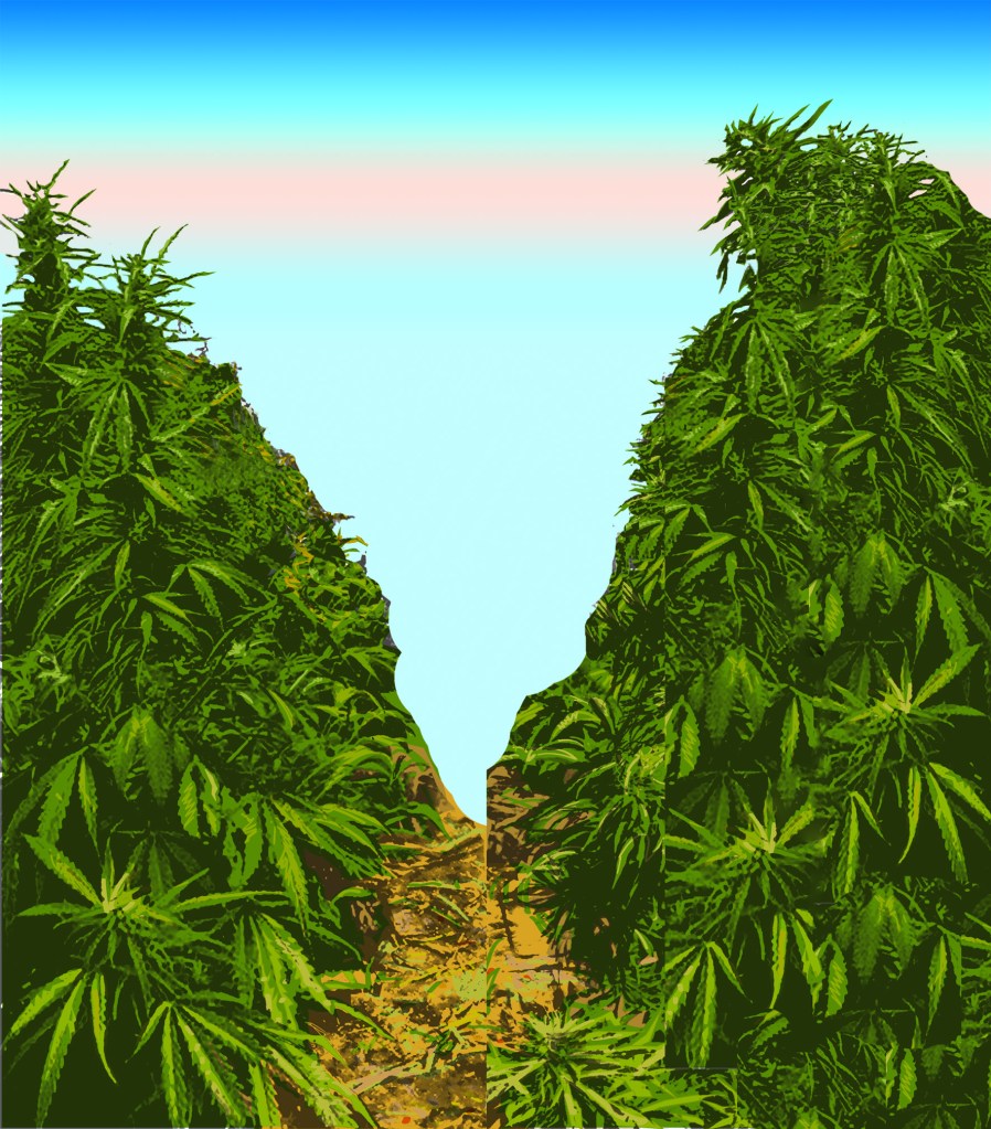 Something about following a black pick-up truck in the dead of winter