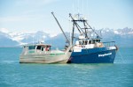 Top: reef nets hauling in the catch. Bottom left: reef nets off Lummi Island. Bottom right: Cook releasing a wild Rogue River chinook.