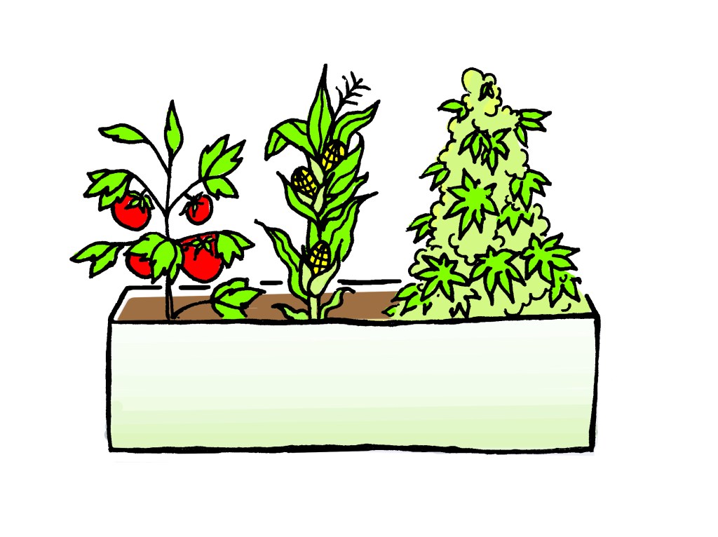 The idea of Higher Ground is to “elevate the dialogue,” and thus