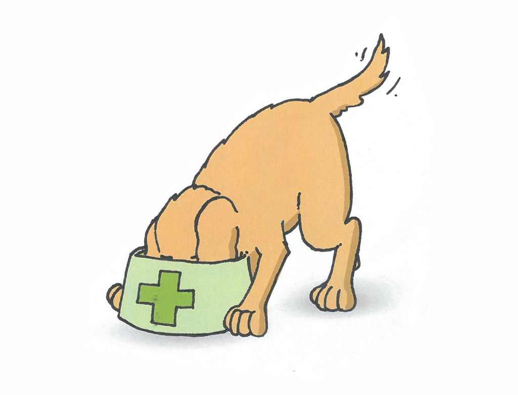 Illustration by Brianna Cashin