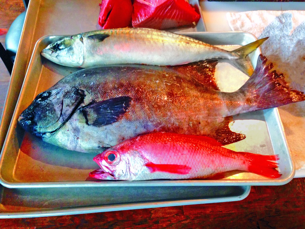 news&comment  5Text ColorSwatch/NoneStrokeStyle/$ID/SolidText ColorSwatch/NoneStrokeStyle/$ID/SolidText ColorText ColorText ColorText ColorOwing Pains  by