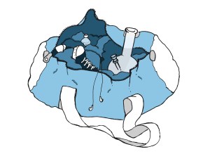 Illustration by Brianna Cashin