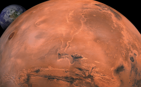 Carl LeCompte’s Oreo milkshake comes with little cookies surrounding the straw. It’s