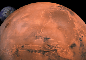 Carl LeCompte’s Oreo milkshake comes with little cookies surrounding the straw. It’s