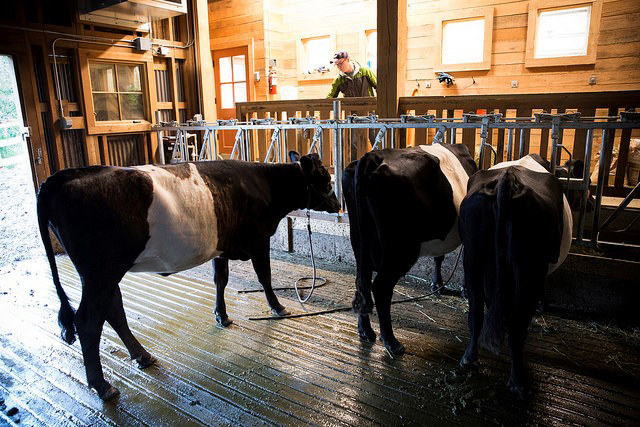 I have a dream—a dream in which thousands of people quit their