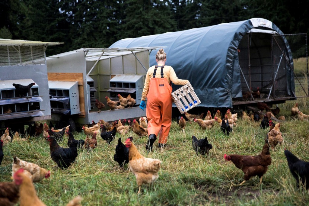 I have a dream—a dream in which thousands of people quit their