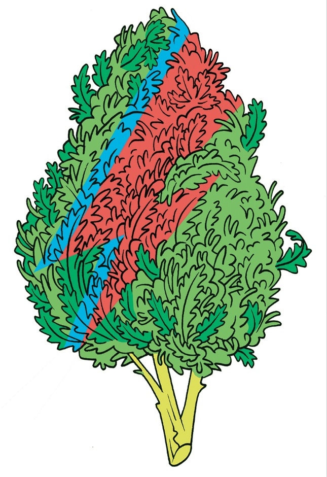 Art by James the Stanton