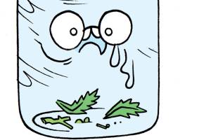 Your Cannabis News Roundup