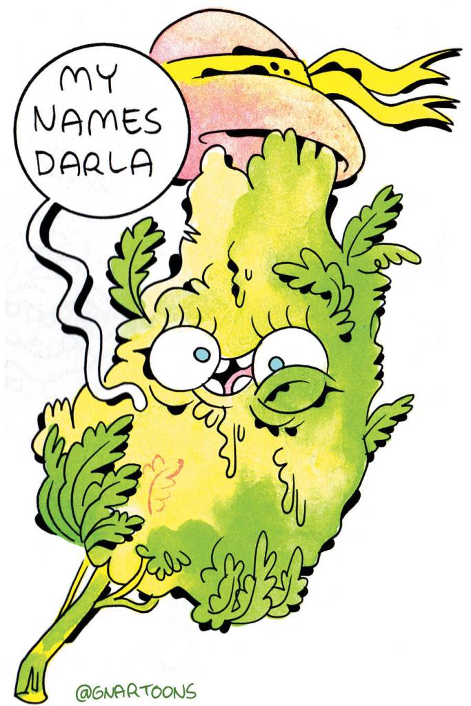 Illustration by James Stanton