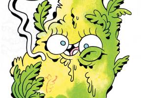 You Can Call Me Ray, or You Can Call Me Jay…