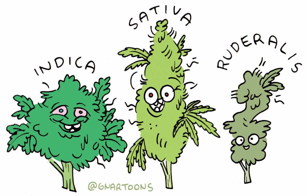 Illustration by James Stanton