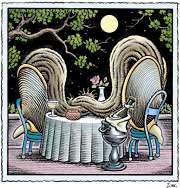 Viagra on the Half Shell