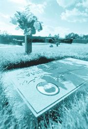 The Soleimans hope going public with their story will help other parents.