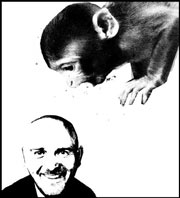 Teach the monkey: WOMAD co-founder Peter Gabriel still loves primates.