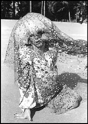 One hot Tomata du Plenty.