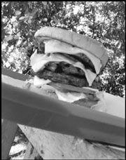 The Beef Stops Here