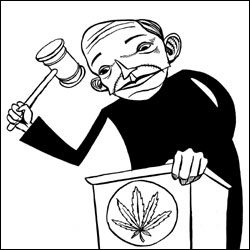 Taking Another Pot Shot