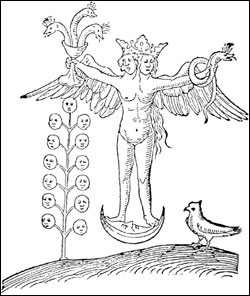 Flying Dragons and Floating Hermaphrodites