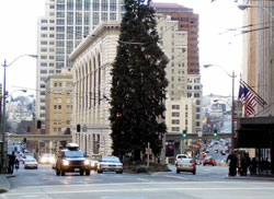 The historic Times Square Building (behind the tree) awaits the future monorail.
