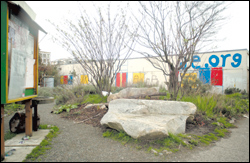 The People's Center building and its eco-friendly urban surroundings.