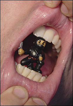 Seattle International Children's Festival