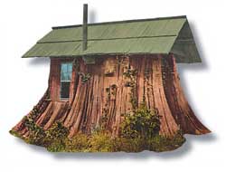 Seattle's Bold Bioneers