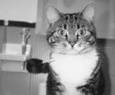 The lovely Miss Ruby.