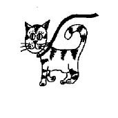 Cat on a leash on a beach: Wrong?